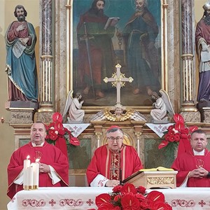 Kardinal Puljić predvodio proslavu Petrova u Kašini